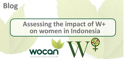 Assessing the impact of WPlus on women in Indonesia